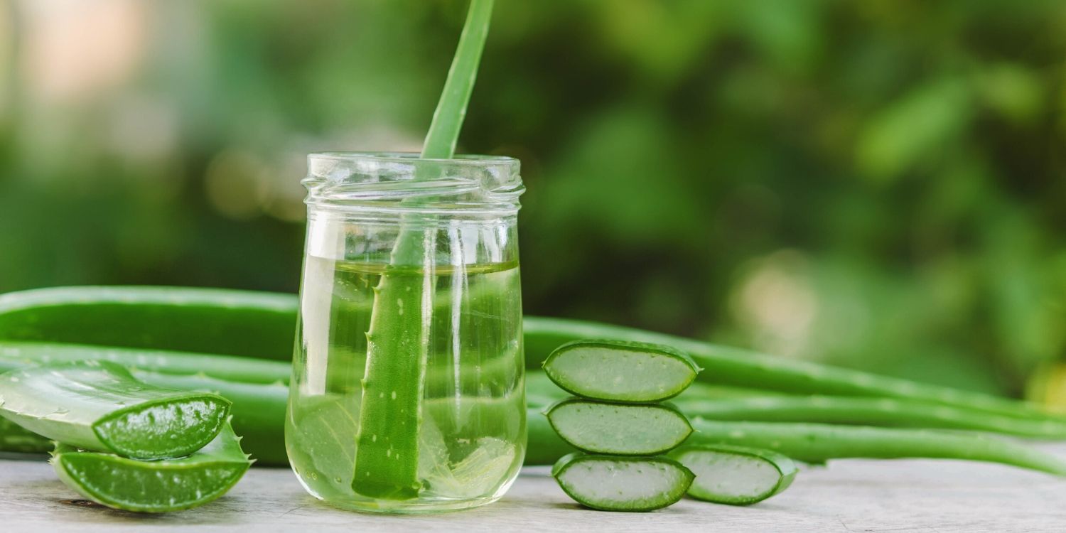 Aloe vera juice dosage best sale